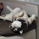 Neon pigmentporok használata