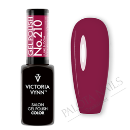 Victoria Vynn Gel Polish 8 ml No.210